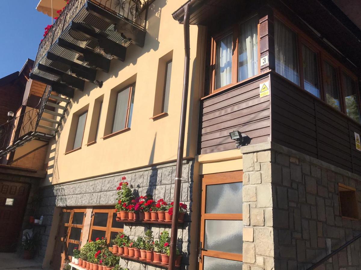 Апартаменты Casa Mikha Синая Экстерьер фото